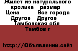 Жилет из натурального кролика,44размер › Цена ­ 500 - Все города Другое » Другое   . Тамбовская обл.,Тамбов г.